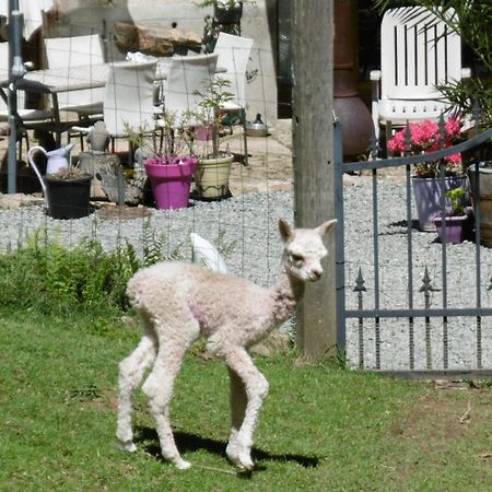 Lazy Days Bed & Breakfast Rancon Luaran gambar
