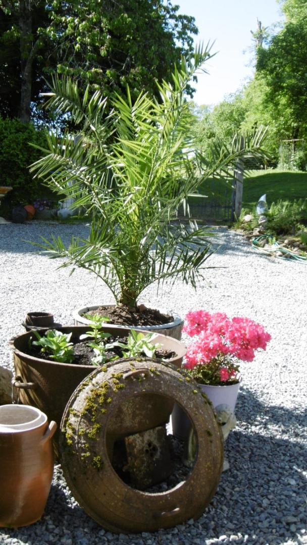 Lazy Days Bed & Breakfast Rancon Luaran gambar